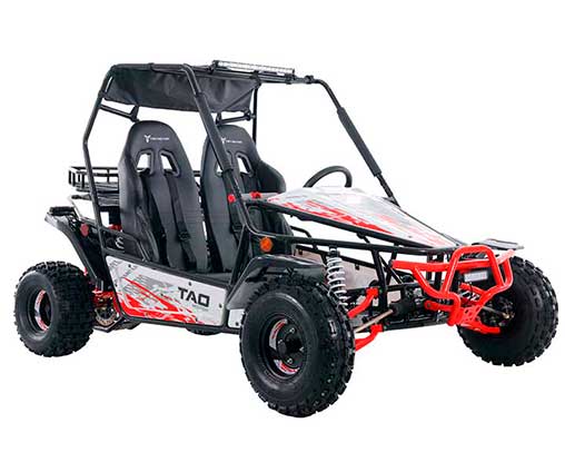 tao motor buggy baja 200