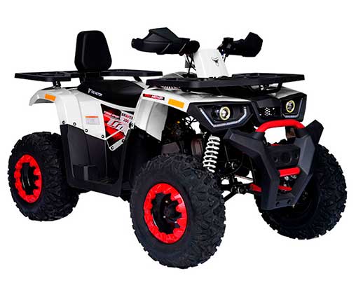 tao motor cuatrimotos utilitarias braves 200